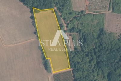 Poljoprivredne parcele Fuškulin