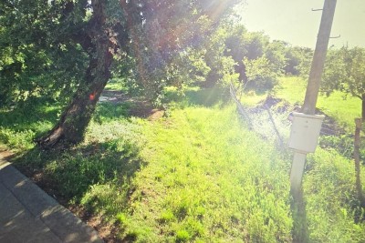 Land Juricani, Umag, 4.278m2