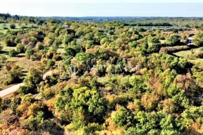 Umag-Umgebung, schönes Ackerland 12060 m2