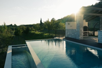 BUJE, KAMENA NOVOSAGRAĐENA VILA OKRUŽENA PRIRODOM