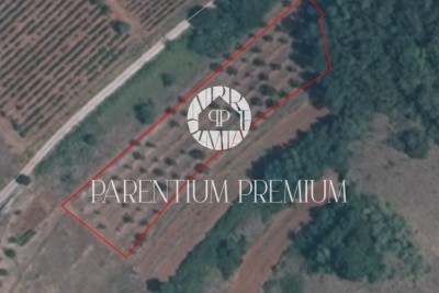 Urbanizirano zemljišče na mirni lokaciji