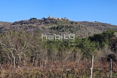 Grožnjan okolica - Atraktivno građevinsko zemljište sa prekrasnim pogledom na Grožnjan