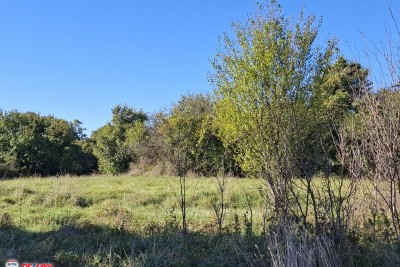 Baustelle Labin, 600m2