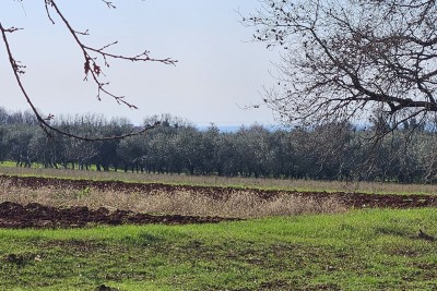 Terreno edificabile a Novigrad, Istria