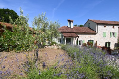 Renovated Istrian Stone House with Pool and Large Garden