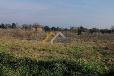 Terreni agricoli Šišan, Ližnjan, 4.862m2