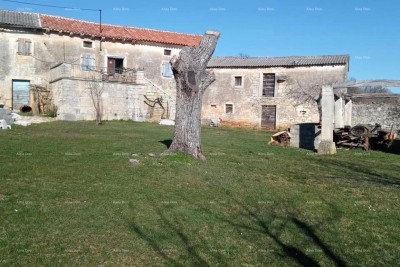 Pazin, Istria - due vecchie case in pietra con ampio terreno