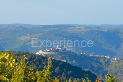 Motovun, tenuta 44.000 m² con terreno edificabile e vista