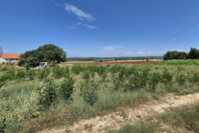 POREČ, PRODAJE SE GRAĐEVINSKO ZEMLJIŠTE U BLIZINI GRADA