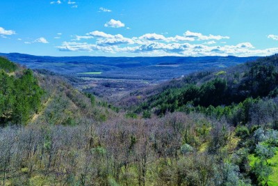 OPRTALJ, OKOLICA, RARITET NA TRŽIŠTU, ISTARSKO SELO