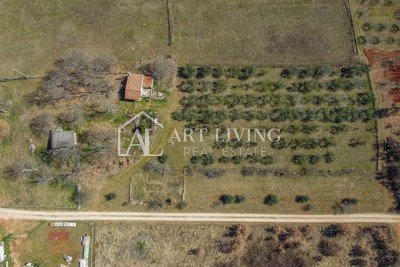 Novigrad okolica – atraktivno zemljište na TOP poziciji u T3 zoni, prilika za investiciju