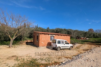 agricultural land in Poreč – 7,000 m² with olive grove and farm building