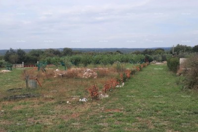 Marčana – gradbena zemljišča 1.200 m²