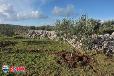 Terreni agricoli Fažana, 2.400m2