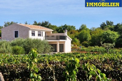 Prodaja, Villa, Poreč, novogradnja, 219 m2 , bazen 32m2,  zemljište 1032 m2