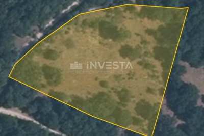 Landwirtschaftlich-forstwirtschaftliches Land (LF) am Veli Vrh