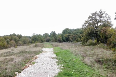 Terreni Edificabili in Vendita.
