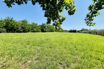 UMAG, SV.IVAN, GRAĐEVINSKO ZEMLJIŠTE SA PUNO POTENCIJALA