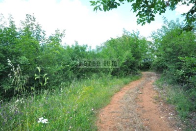 Geschäftsgegenstand - Grundstück zwischen Rovinj und Kanfanar