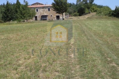 Poreč, Karojba, Umgebung, Großes Grundstück 12550 m2, 1900 m2 Bauland, 20 km vom Meer