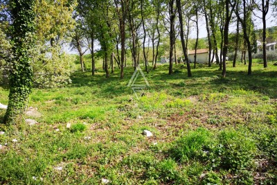 Istria, Muntrilj: Ampio terreno con privacy