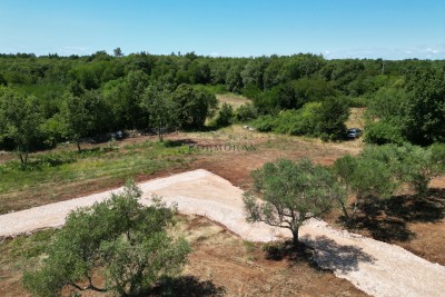 Prodaja, Zemljište, Građevinsko, Istarska županija, Brtonigla