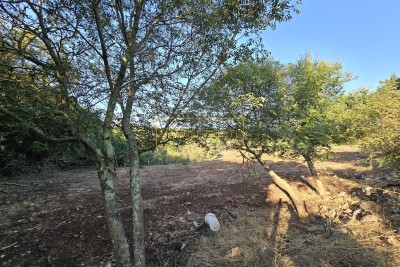 BYGGMARK PÅ 1154 M² I EN LUGN PLATS NÄRA VIŠNJAN!