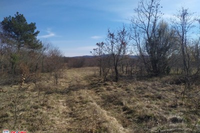 Ackerland Labin, 14.167m2