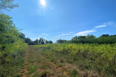 Grundstück Umag, 4.277m2