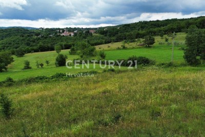 VIŠNJAN, OKOLICA,  GRAĐEVINSKO ZEMLJIŠTE S ATARKTIVNIM POGLEDOM I GRAĐEVINSKOM DOZVOLOM