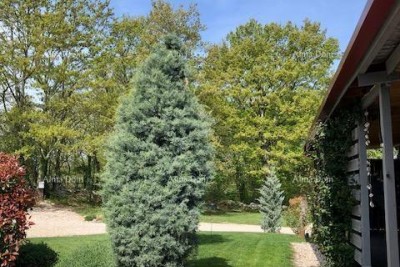 Prodaja montažne/modularne prizemnice, Tinjan!