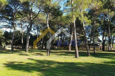 Rovinj-Građevinsko zemljište 12058m2-panoramski pogled