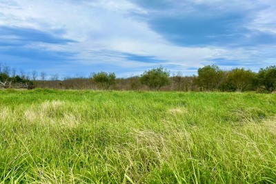 UMAG, GRAĐEVINSKO ZEMLJIŠTE SAMO 1.5 KM OD MORA