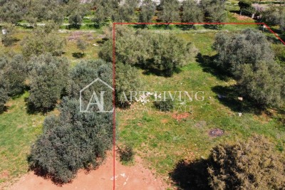 Buje - Kaštel -građevinsko zemljište 1250 m2, PRILIKA