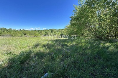 Prodaja, Zemljište, Građevinsko, Istarska županija, Motovun