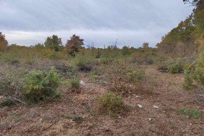 Zemljišče Sveti Lovreč, 2.024m2