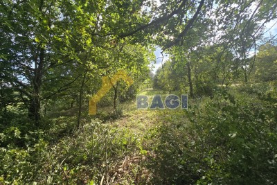 KRNICA – Terreno Agricolo 3.854 m²