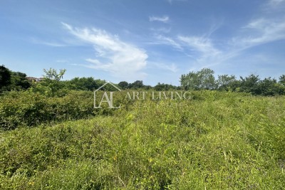 Brtonigla, okolica – zanimivo kmetijsko zemljišče v izmeri 1.900 m²