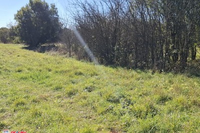 ISTRA, VREĆARI, EKSKLUZIVNO - KOMBINACIJA GRAĐEVINSKOG I POLJOPRIVREDNOG ZEMLJIŠTA