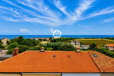 Hus Novigrad