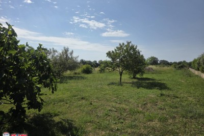 ISTRA, LOBORIKA, GRAĐEVINSKO ZEMLJIŠTE SA VOĆNJAKOM