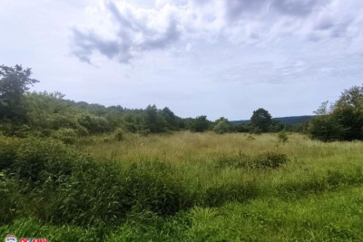 Farmland Labin, 10.886m2