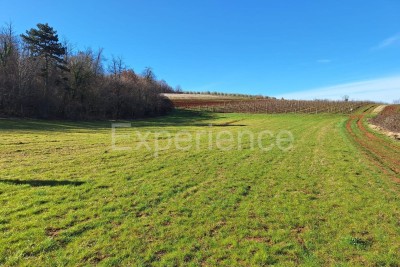 U okolici Vižinade, izvrsna lokacija - poljoprivredno zemljište blizu GRAĐEVINSKE ZONE!