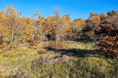 Štokovci - terreno residenziale di 645 m² e terreno agricolo di 1603 m²