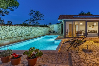 MODERNA VILA S BAZENOM I UREĐENOM OKUĆNICOM,MEDULIN!