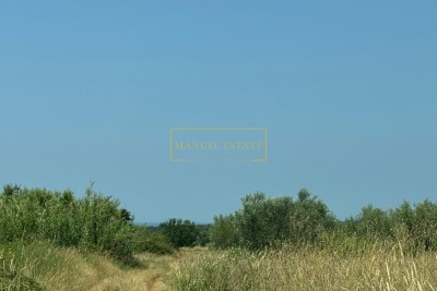 Prodaja kmetijskega zemljišča na Hrvaškem, Brtonigla 6968 m²