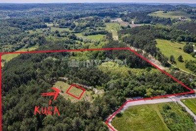 Grande tenuta con permesso di costruzione per una casa nei dintorni di Pisino