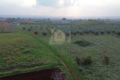 Poreč, okolí, stavební pozemek s výhledem na moře, 12 km od moře