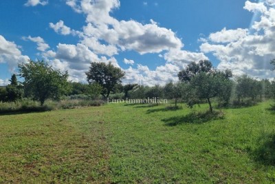 Istria, Tar – Ampio terreno edificabile con strada di accesso