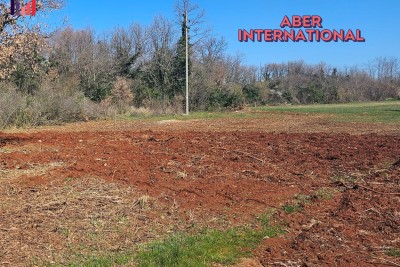 TERRENO EDIFICABILE ATTRATTIVO IN VENDITA - 1490 m² – VICINO A SAN LORENZO (UMAGO)